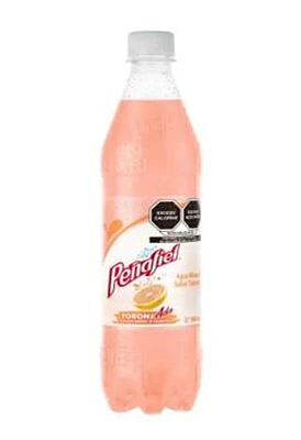 Peñafiel toronjada Mineral  Spring Water 20.3OZ-12 Pack