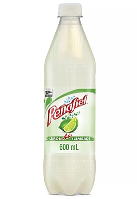 Peñafiel naranjada Mineral  Spring Water 20.3OZ-12 Pack