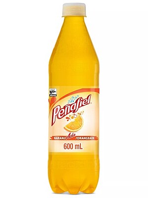 Peñafiel pinada Mineral  Spring Water 20.3OZ-12 Pack